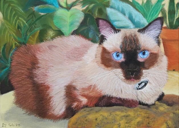 "Bella boy" soft pastel painting