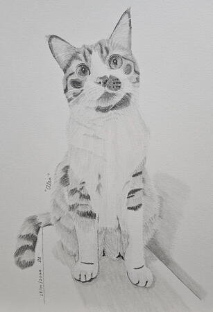 "Alex" graphite drawing