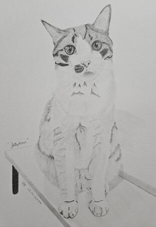 "Jellybean" graphite drawing